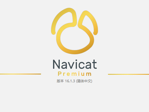 Navicat Premium 16.1.3 64位简体中文版软件安装教程