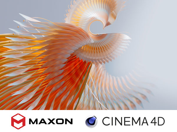 Maxon Cinema 4D R23.110 64位简体中文版安装教程